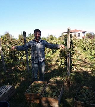 David Leladze's Family Winery