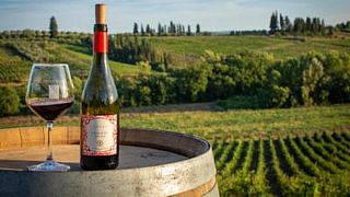 Fattoria Di Piazzano