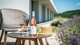 Weinprobe im Weingut Lajver