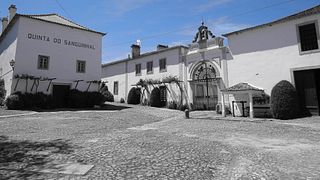 Visita Guiada na Quinta das Cerejeiras visita à Casa Abel Pereira da Fonseca 