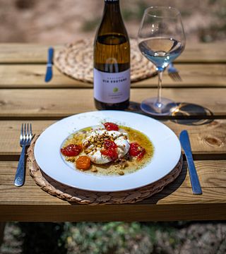 Wine Tasting & Gastronomic Picnic in the Vineyards – Edetària Experience
