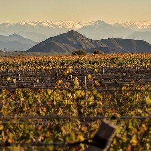 Una experiencia vacacional en Chañarmuyo Wine Lodge