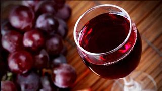 Degustazione e tour di vini premium presso l'azienda vinicola Djurdjic