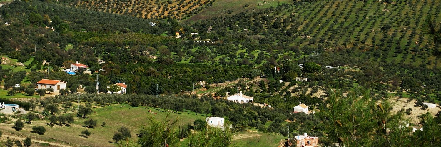 Andalusia Wine Region-spain