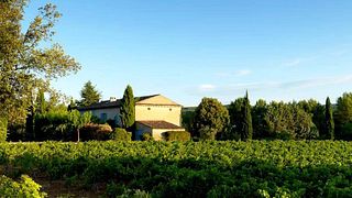 Degustação de vinhos e tour no Domaine du Clos d'Alari
