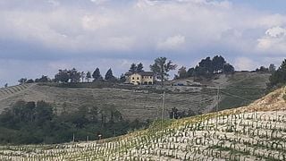 Piedmont Rustic Dining & Wine at Cascina Belvedere