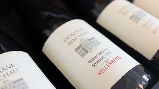 Dégustation de vins et visite au Domaine Wachau