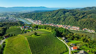 Degustazione tra i vigneti a Kunej