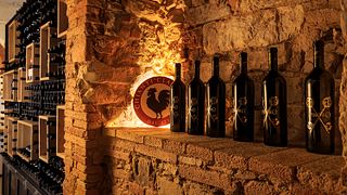 Bio-Wein- und Olivenölverkostung mit toskanischem Mittagessen im Le Filigare