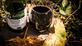 Weinprobe und Tour bei Vinícola Don Affonso