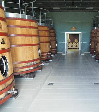 Bordeaux Grand Cru Vineyard Tour & Barrel Tasting
