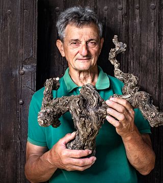 Vida Péter Winery, Szekszárd