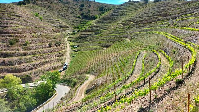 Wine Tasting Among the Vines of Tentiber