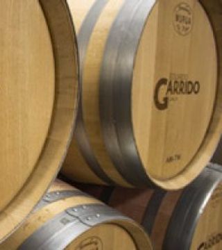 Wine Tasting and Tour at Bodega Eduardo Garrido García