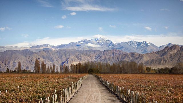 Visite des vins de Luján De Cuyo