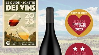Degustación y visita de nuestra bodega única en el mundo en Château Maris 