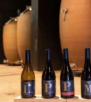 Degustação de vinhos e passeio no Clos Pachem