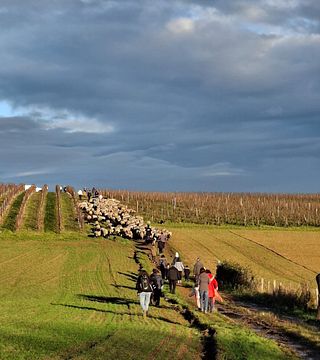 Domaine du Crêt de Bine