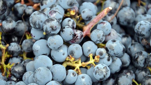 Château Les Remparts: A Commitment to Quality