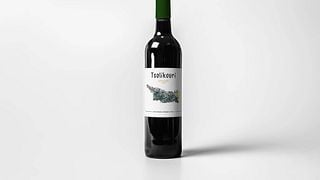 Degustazione di vini e tour presso la Famiglia Oda Marani
