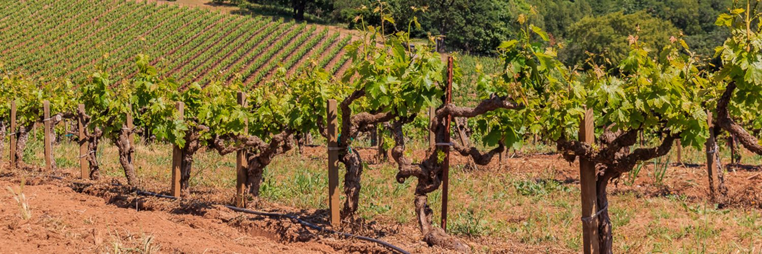 Sonoma Count California