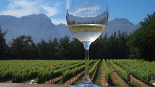 Scopri le gemme nascoste della Wine Country 