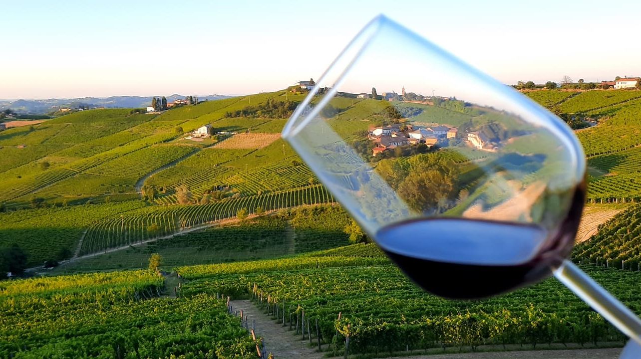 Weinprobe und Tour bei Scagliola Giacomo & Figlio