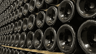 Degustação de vinhos e tour em Vigneti Cenci