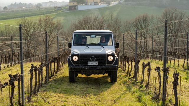 Gran recorrido de safari