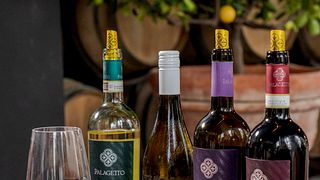 Light lunch wine tasting "TOSCA"