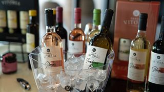 Santa Vitória Winery