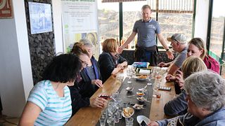 Esperienza unica presso l'azienda vinicola locale dell'isola di Terceira