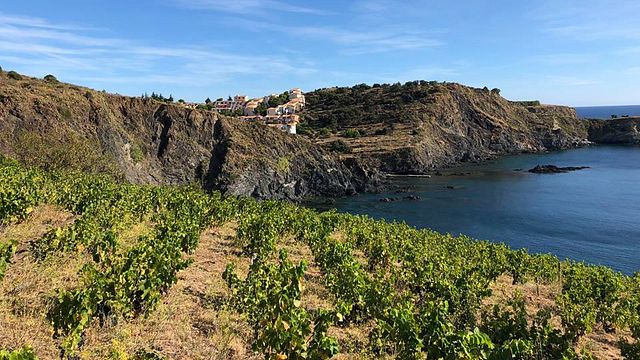 Terres des Templiers