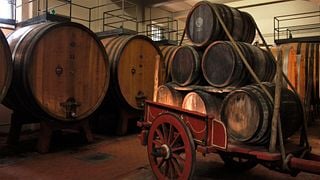Spaziergang und Geschmack in der Fattoria Della Aiola