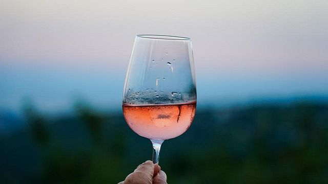 Degustação de vinhos Principium em Vignoble Rasse