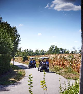 Vinsafari med ECO-vagn
