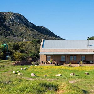 Maison Honey Badger au domaine Fybnos | Vignoble Dragonridge