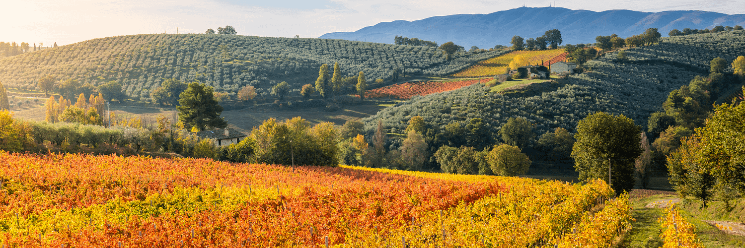 Montefalco