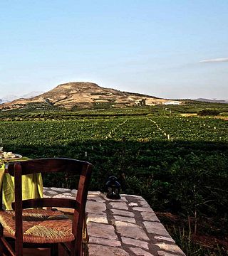 La experiencia de cata de vinos tradicionales