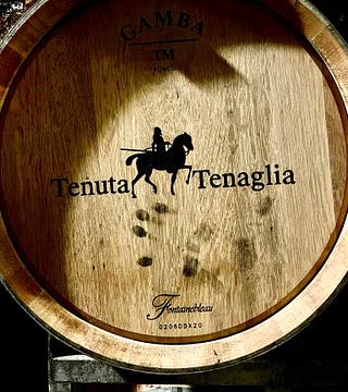 Tenuta Tenaglia