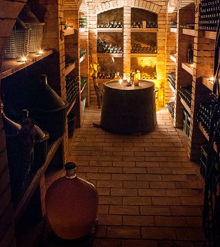 Degustazione vini con cena e degustazione in cantina