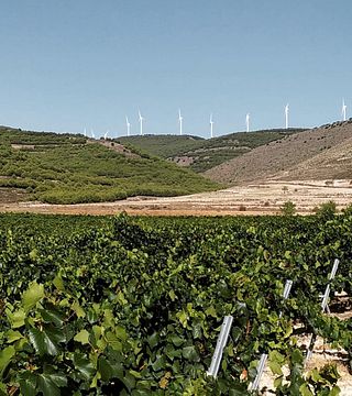 Bodegas Tobia: A Rioja Alta Gem