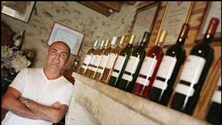Degustazione di vini e visita allo Château du Mont
