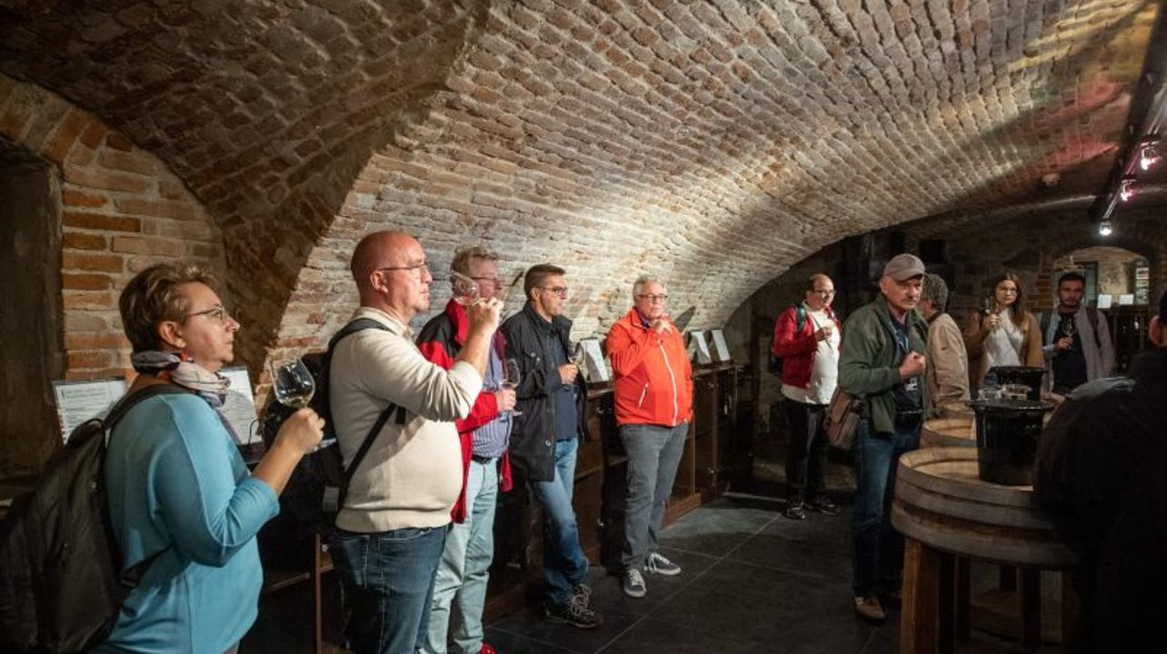 Degustazione di vini con sommelier a Bratislava