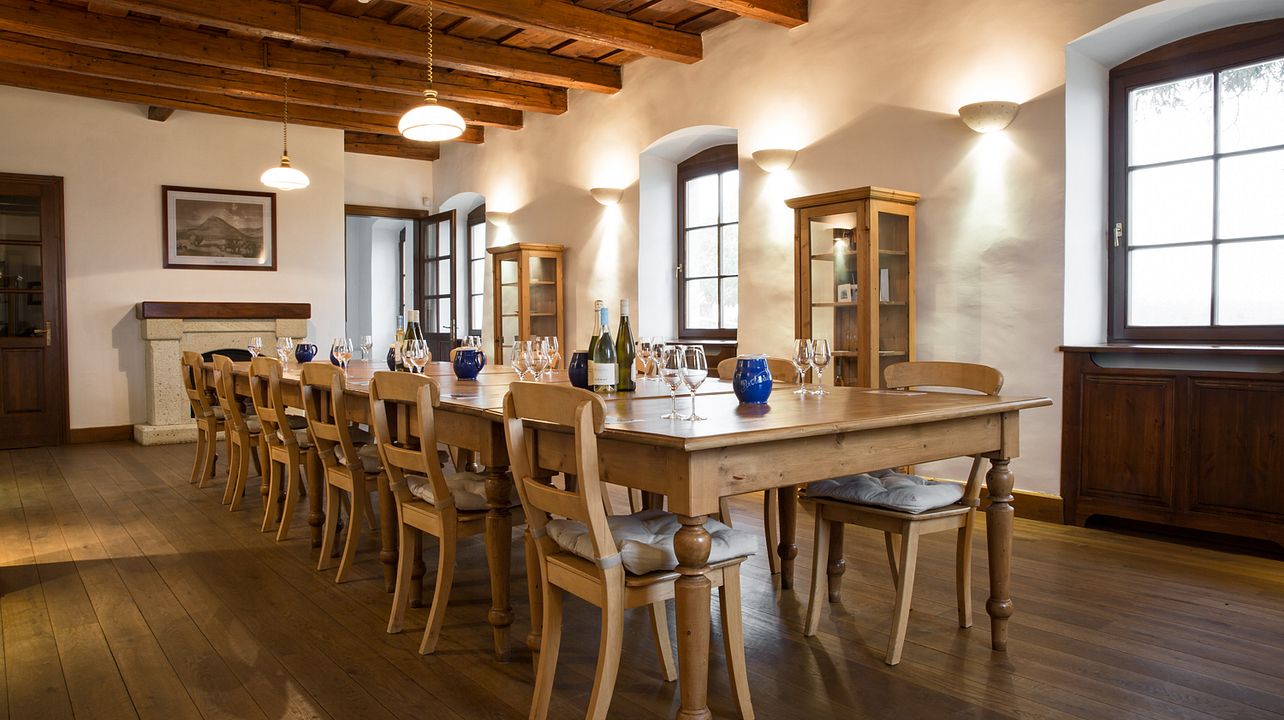 PATRICIUS Tokaj vintur och provsmakning