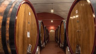 Cantina Di Nizza
