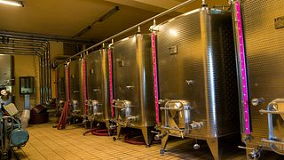 Degustação de vinhos com harmonização de comidas em San Ferdinando