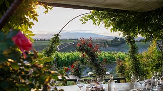 Gianni Moscardini Winery