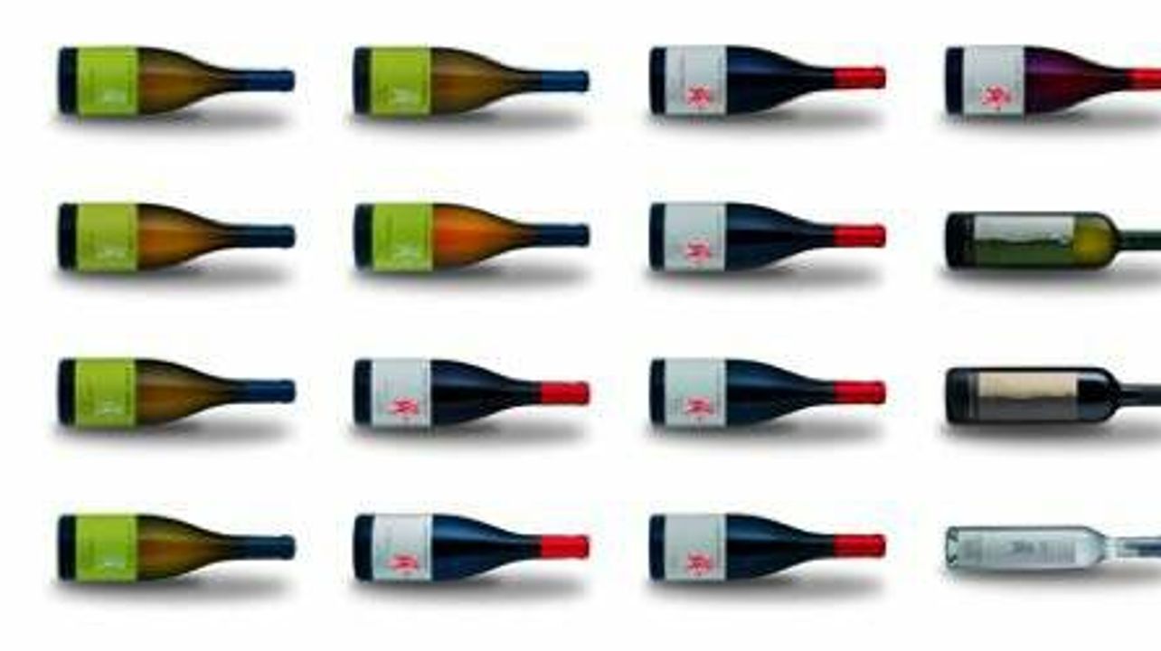 Dégustation de vins à Casali Aurelia