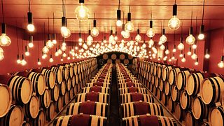 Tour vallesano con aperitivo e degustazione di vini al Domaine Jean-René Germanier